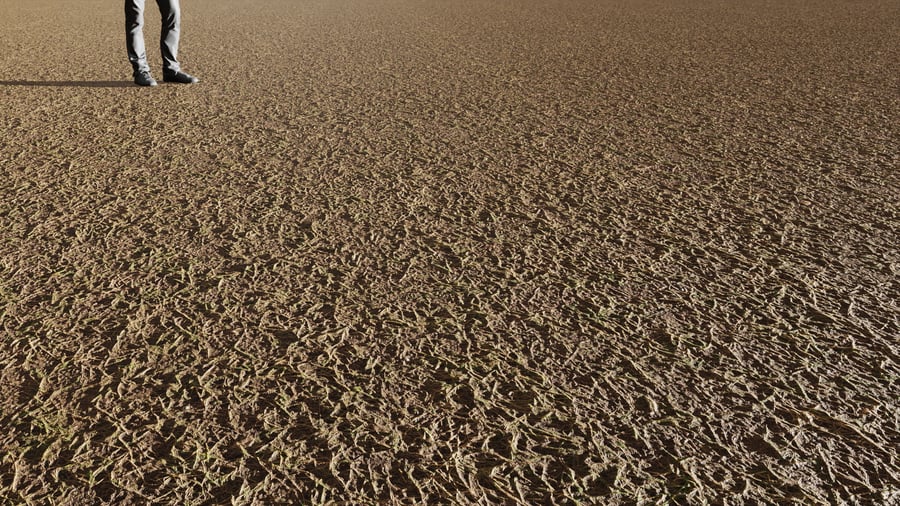 Sparse Grass Texture