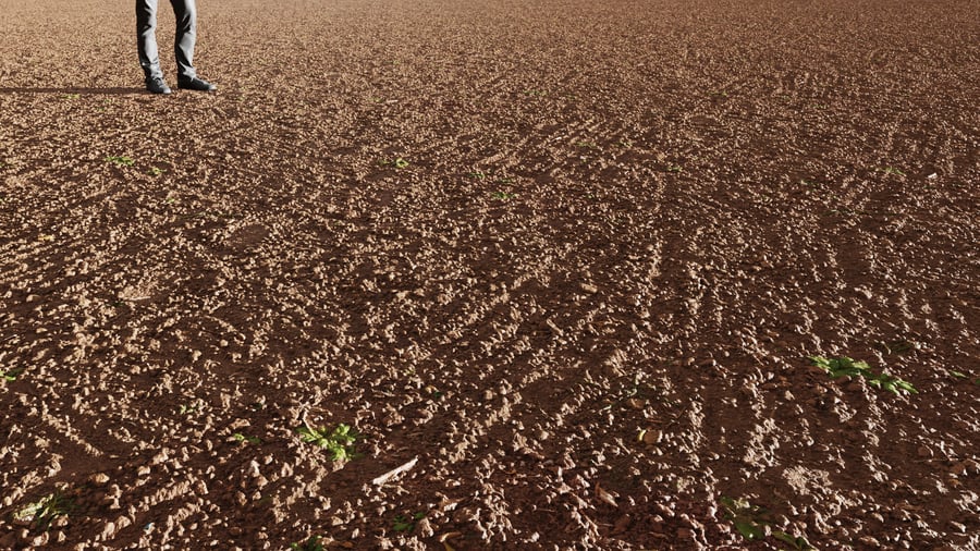 Pequenas ervas daninhas em terra lavrada Textura