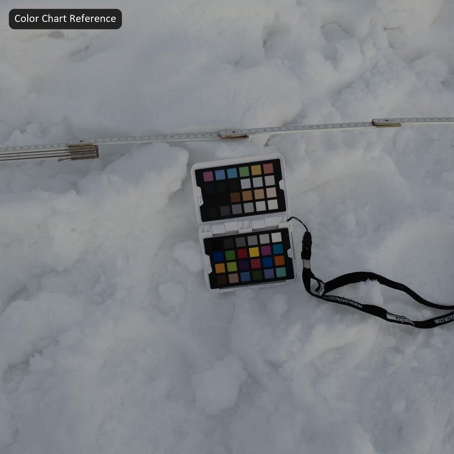 Footprints on Snow Texture