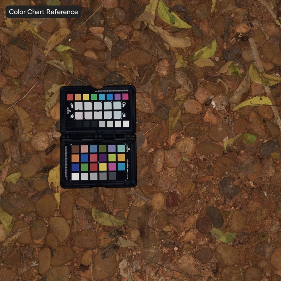 Herfstbladeren op rotsachtige kiezelgrondtextuur