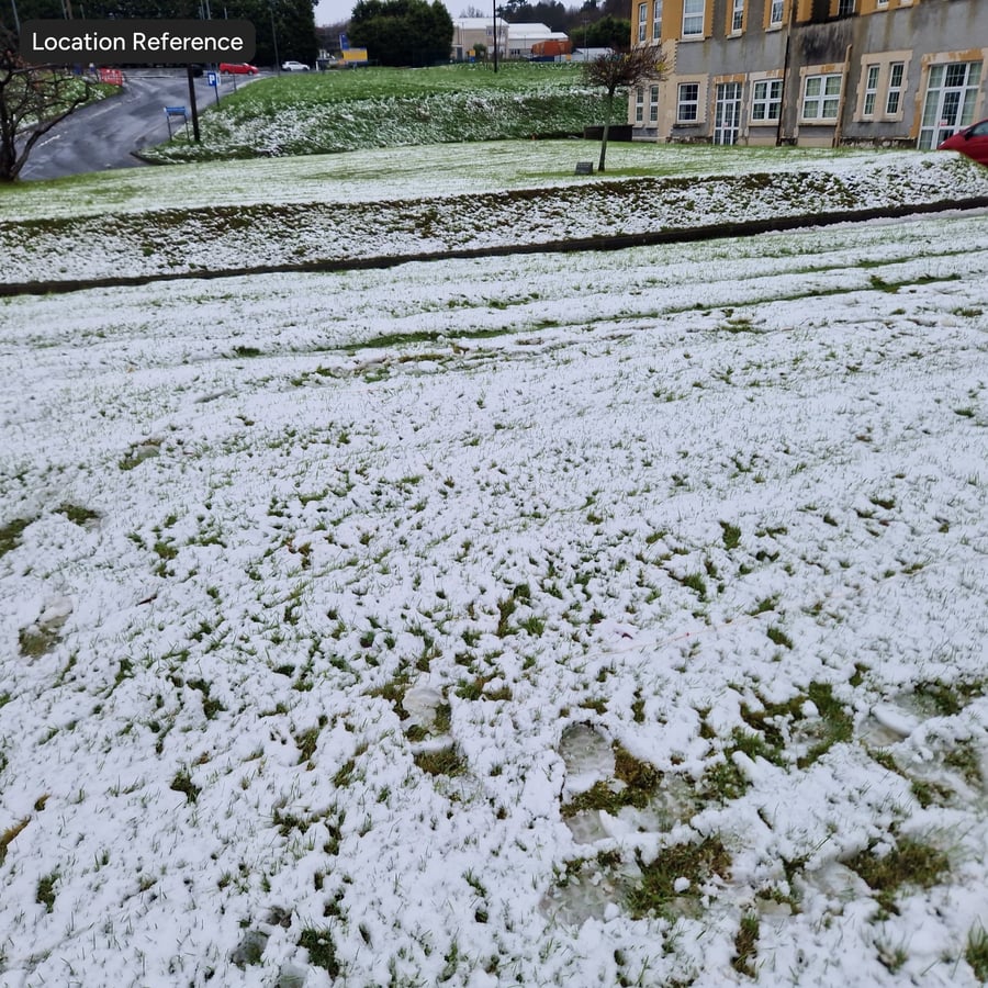 Tjock snö på gräs Textur