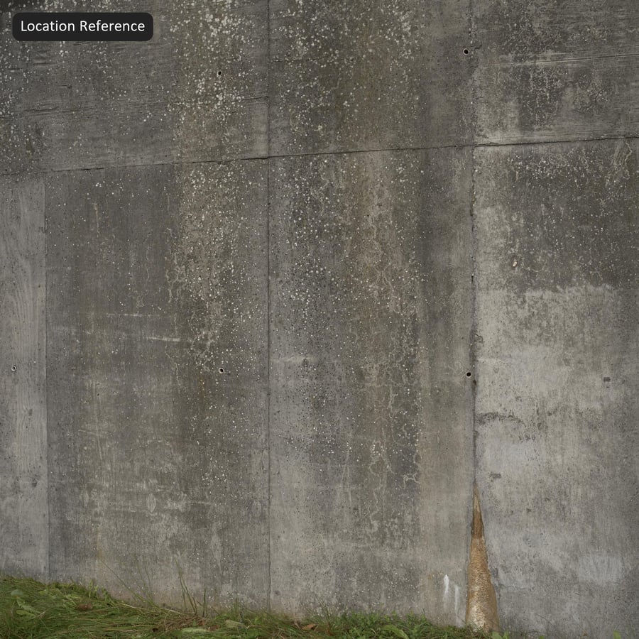 Lichen Covered Concrete Retaining Wall Texture