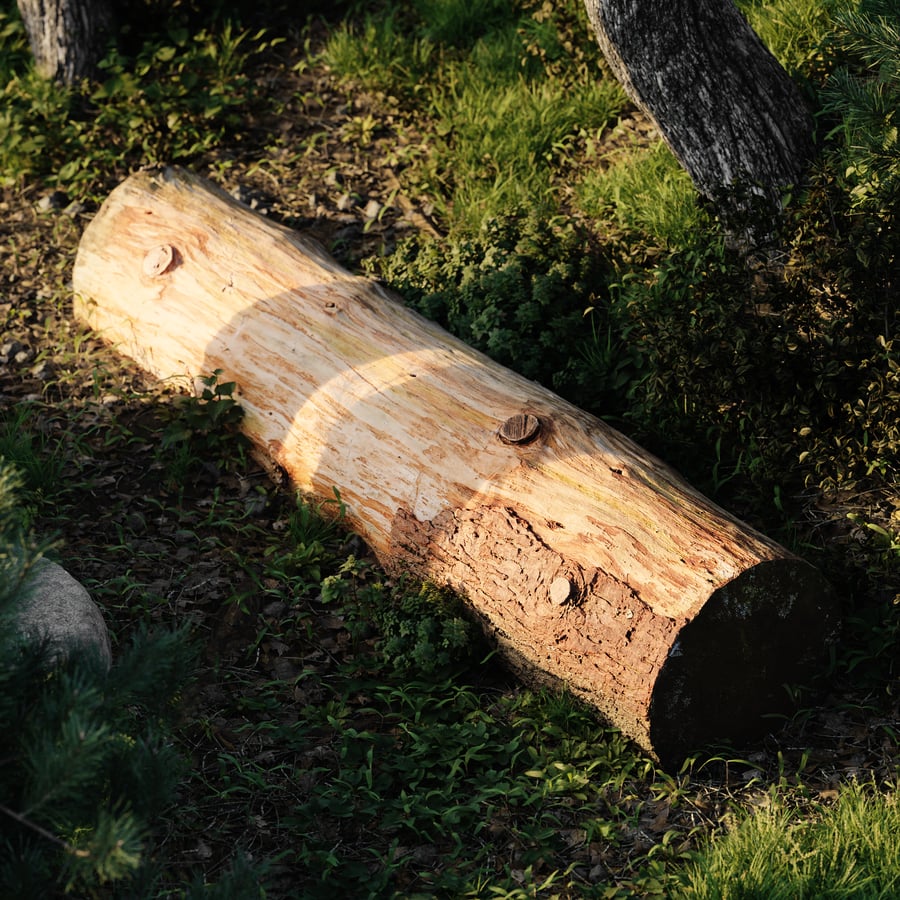 Small Cut Bare Log Model