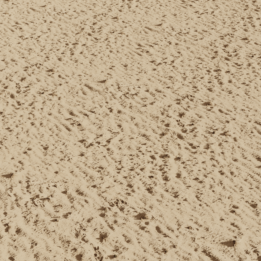 Sand with Debris Ground Texture