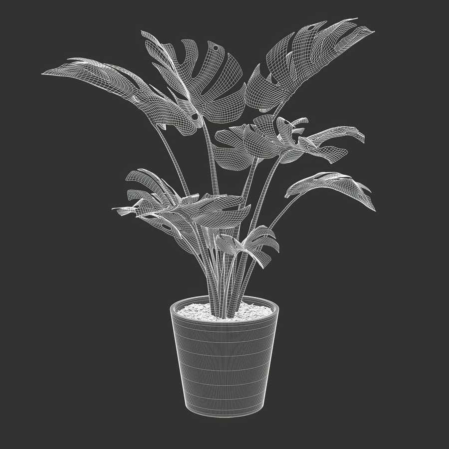 Monstera Deliciosa Plant Potted Plant Model