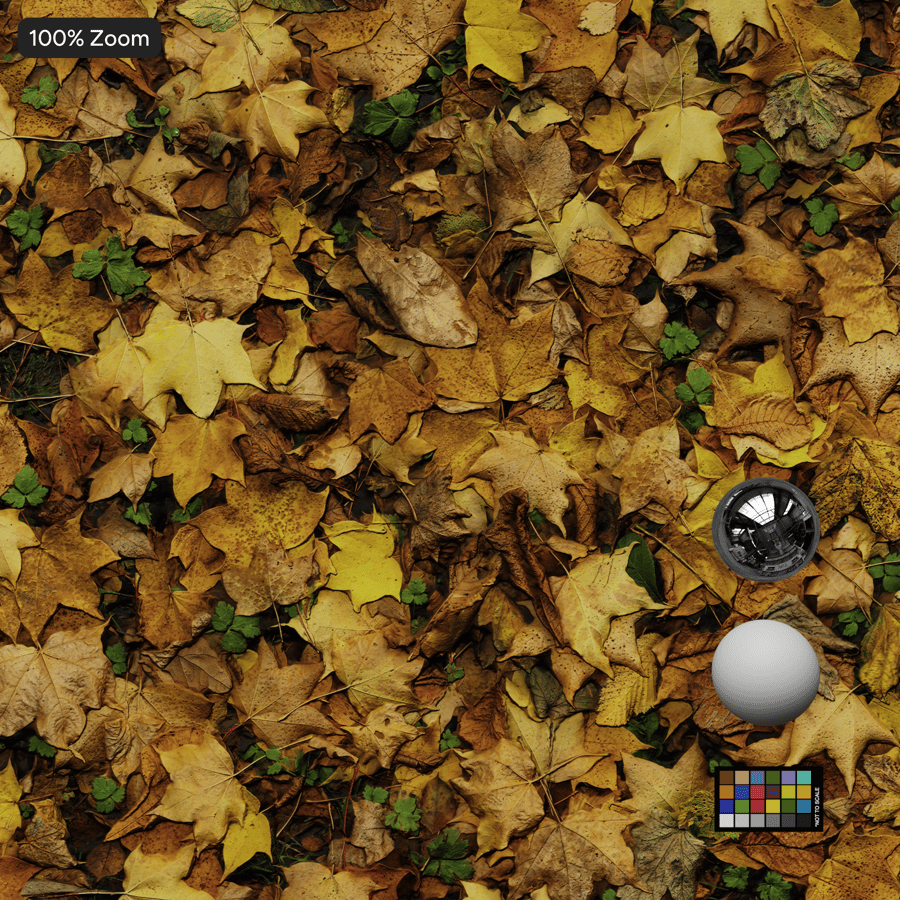 Őszi juharlevelek és lóhere fű textúra