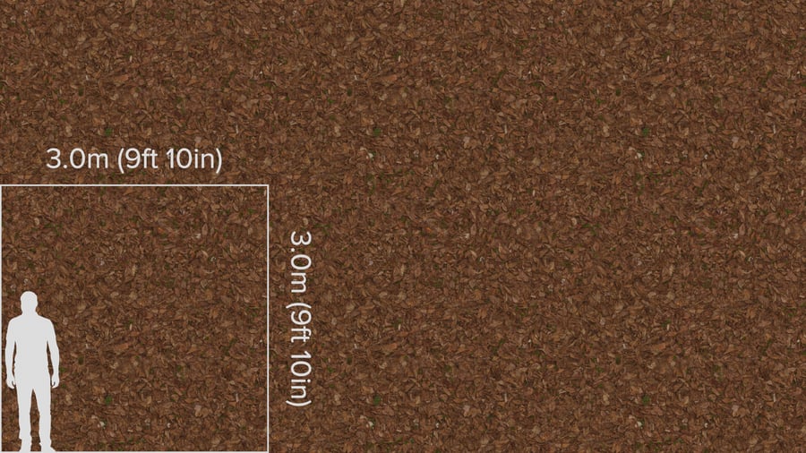 Textura de folhas secas e ervas daninhas, castanho