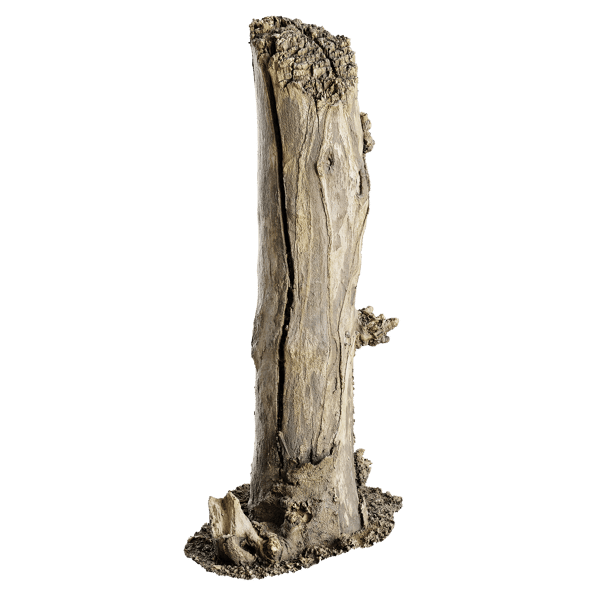 Tall Broken Split Bare Stump Model