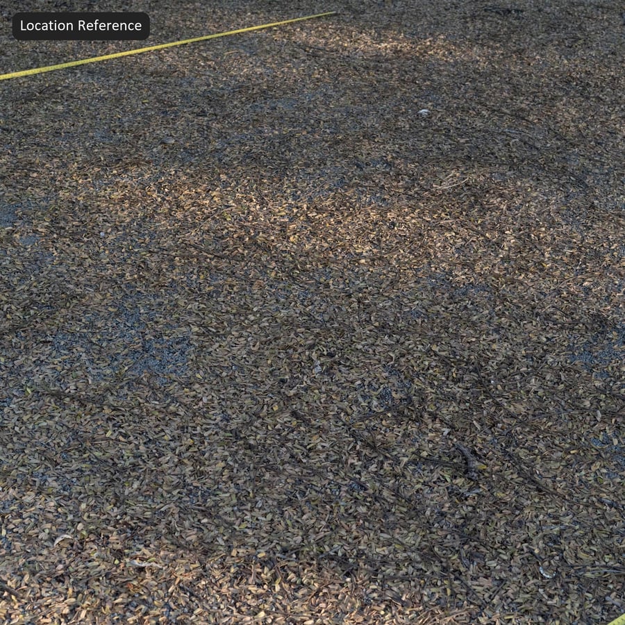 Autumn Leaves on Compact Gravel Texture