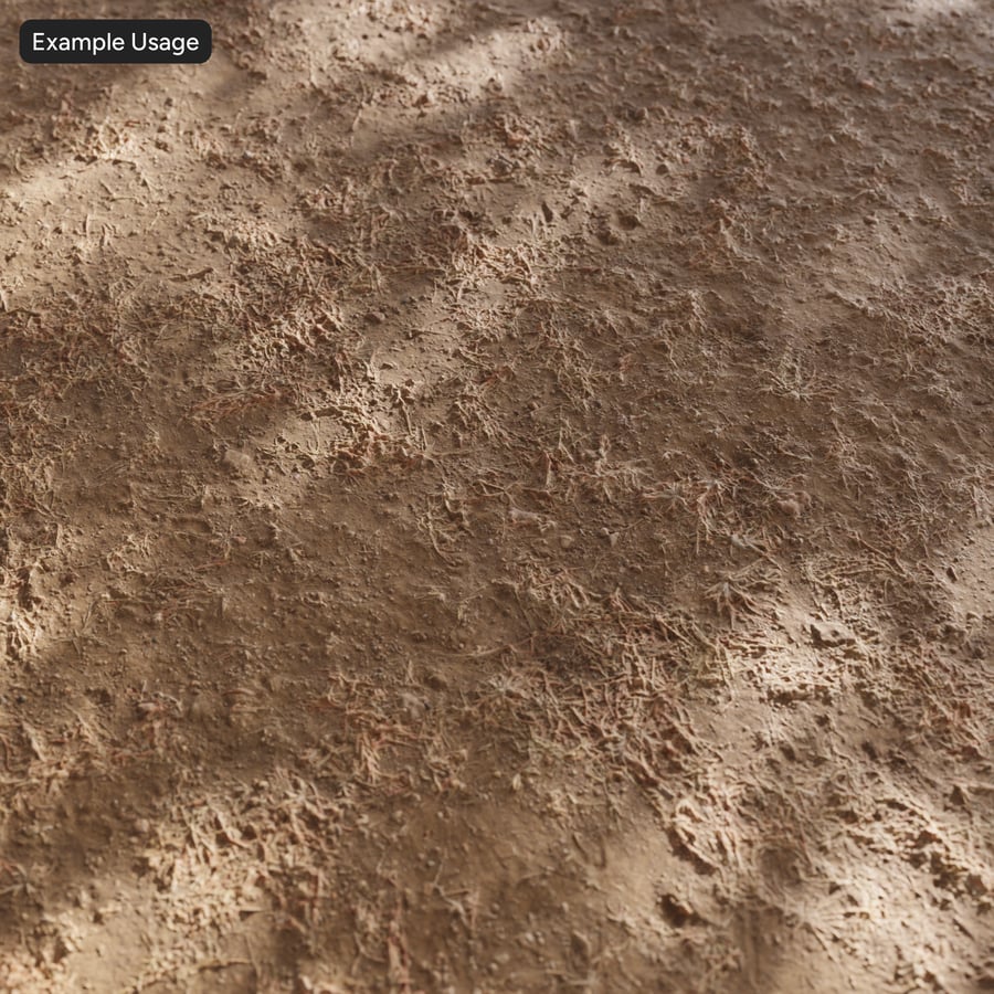 Texture de relva seca irregular sobre terra