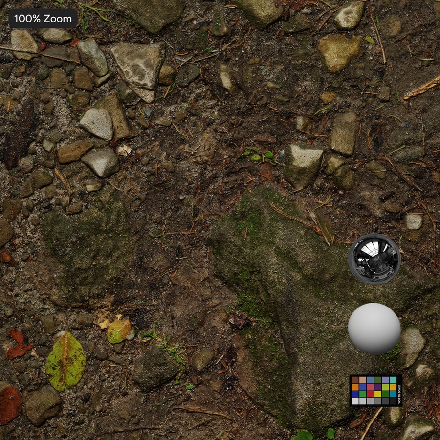 Bladeren op rotsachtige grond Vuilpadtextuur