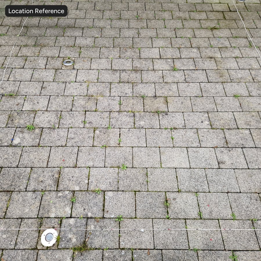 Old Stained Square Paver with Weeds Texture