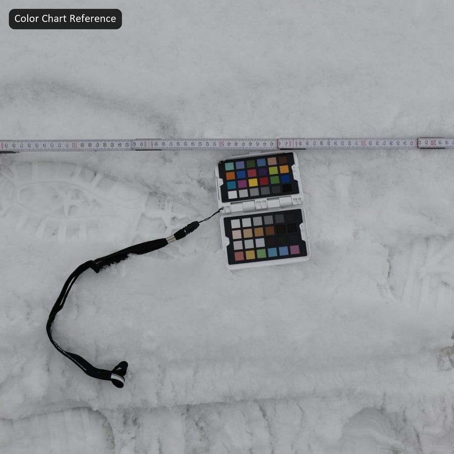 Tire Marks and Footprints on Snow Texture