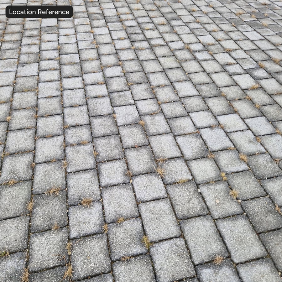 Weeds on Running Stone Paver Texture, Grey