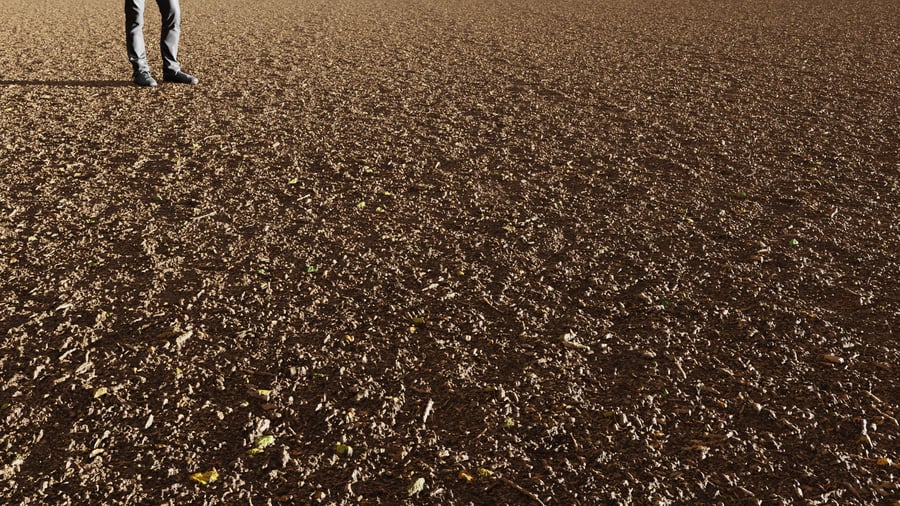 Scattered Mulch Forest Texture