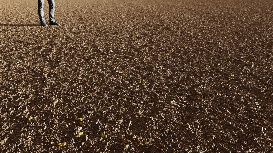 Forest Mulch Dirt Ground Texture