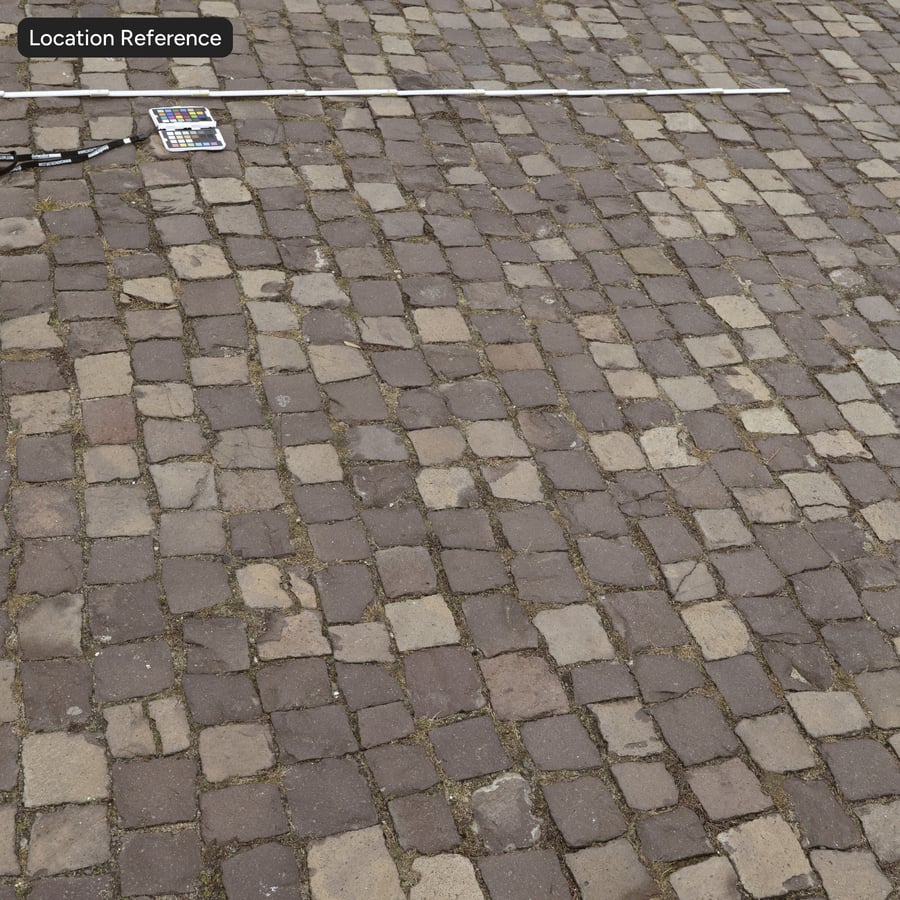 Mauvaises herbes sur une texture de pavés usés