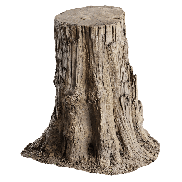Medium Cut Splintered Stump Model