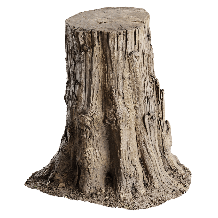 Medium Cut Splintered Stump Model