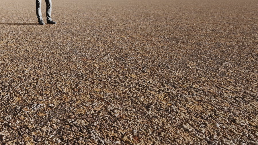 Textura de folhas secas da floresta, castanho
