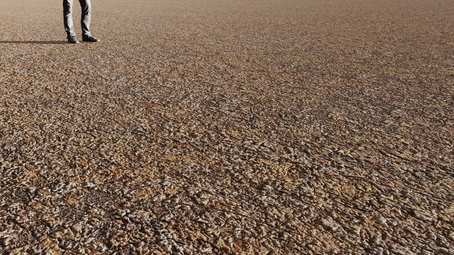 Forest Leaves Ground Texture, Warm Brown