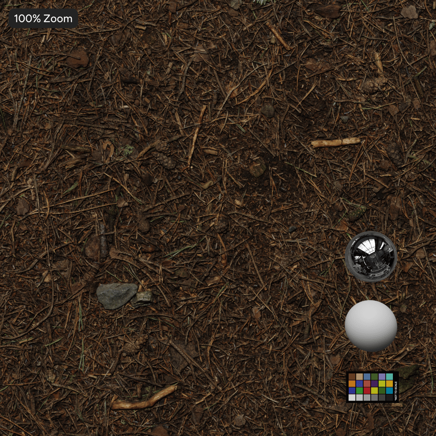 Lá thông khô trên kết cấu nền rừng