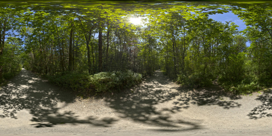 Park Forest Trail Clear Day Morning Outdoor Sky HDRI