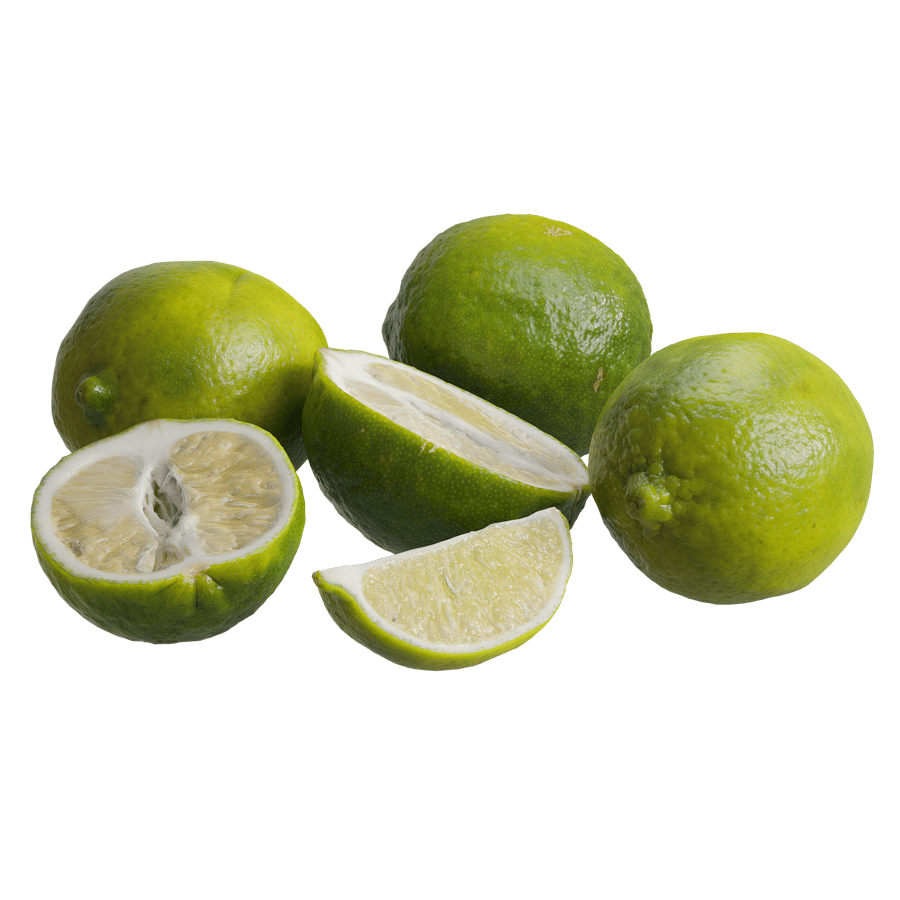 Lime Models