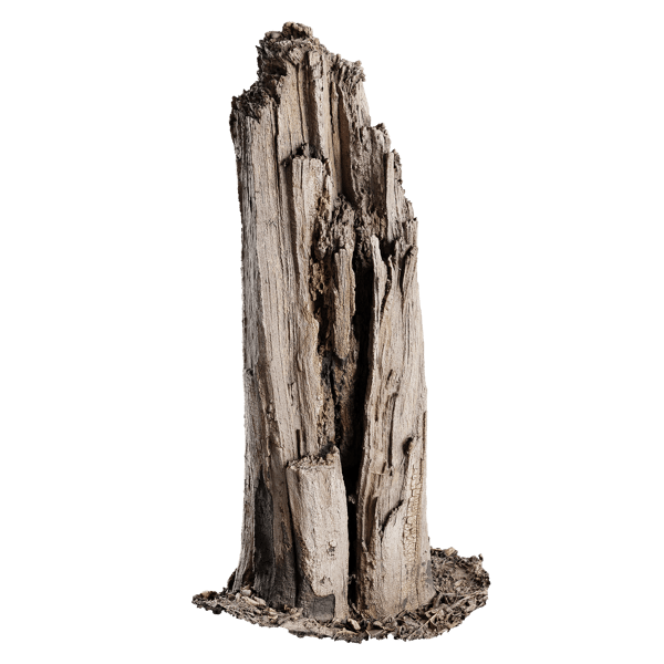 Tall Broken Splintered Stump Model
