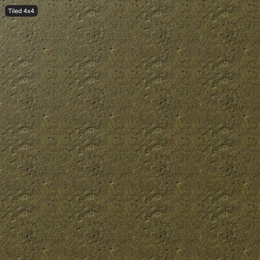 Algae Covered Ground Texture