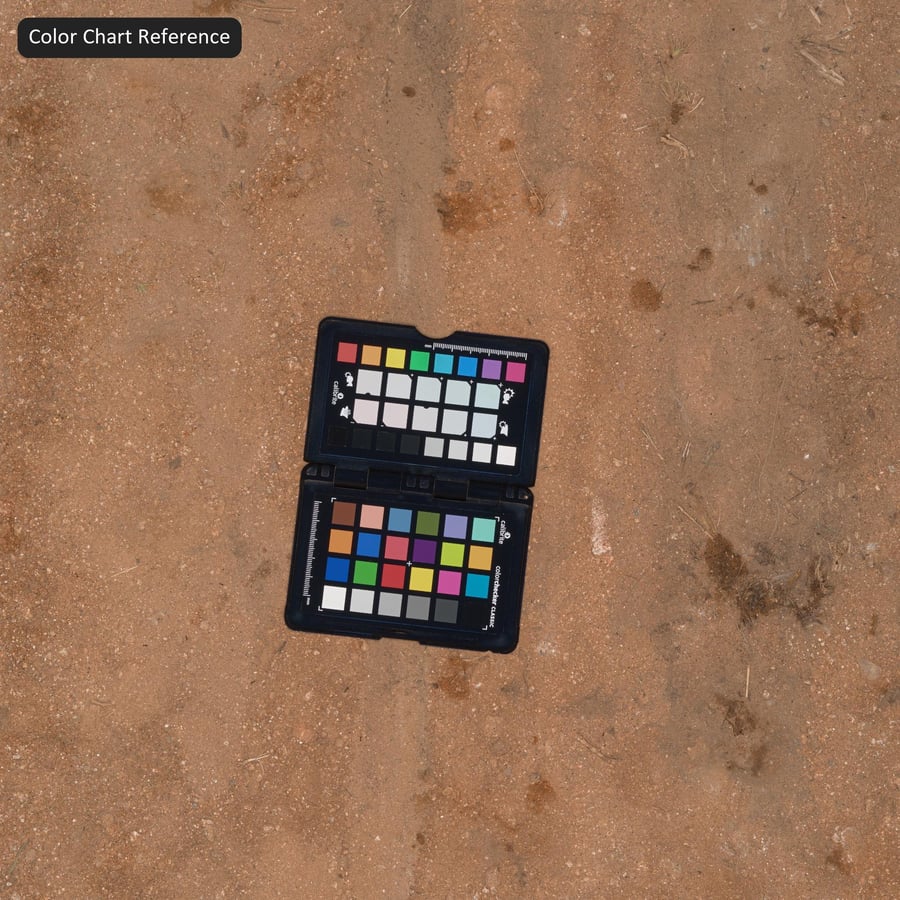 湿泥土纹理上的轮胎印记