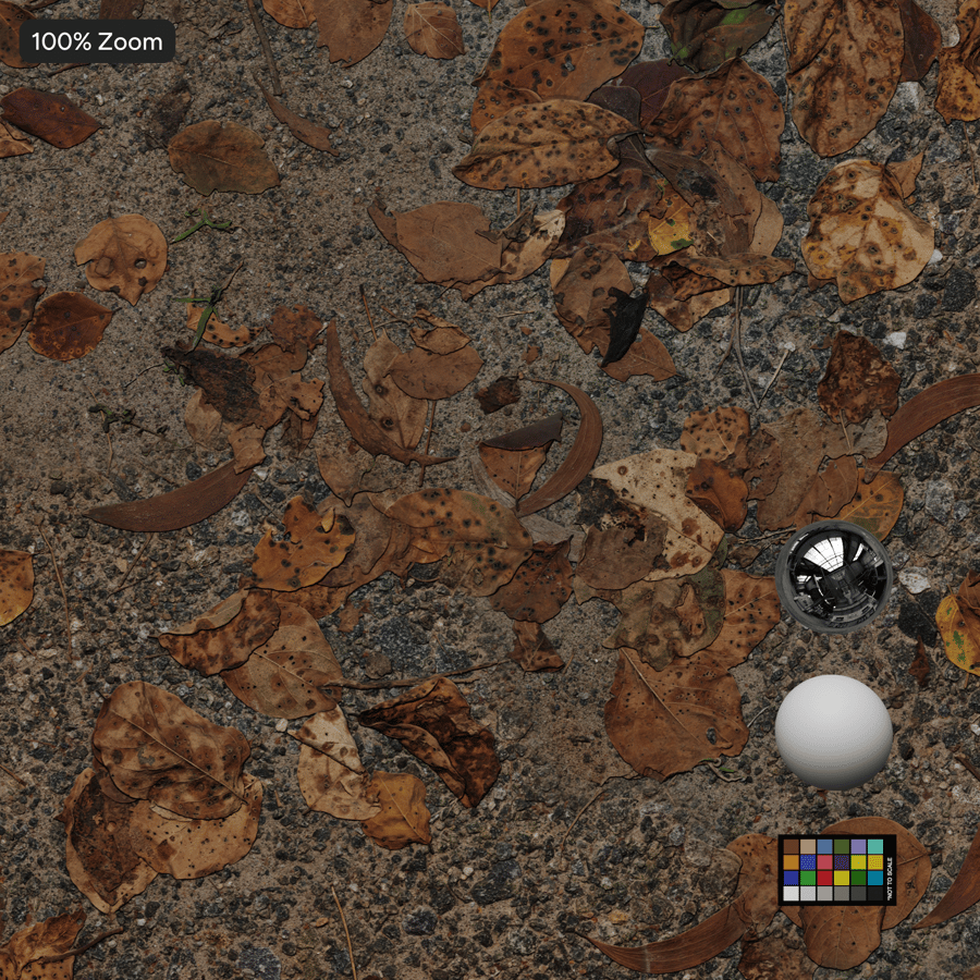 Feuilles tombées sur une texture de route en granulats d'asphalte