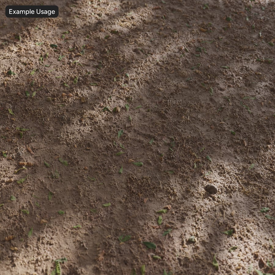 Dirt Forest Texture