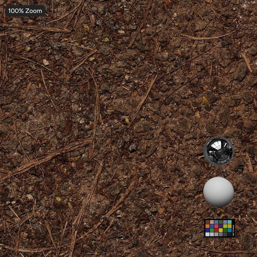 Forest Floor Soil Texture
