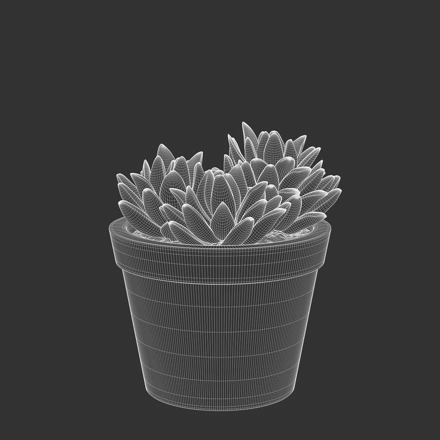 Baby Agave Plant Succulent Potted Plant Model