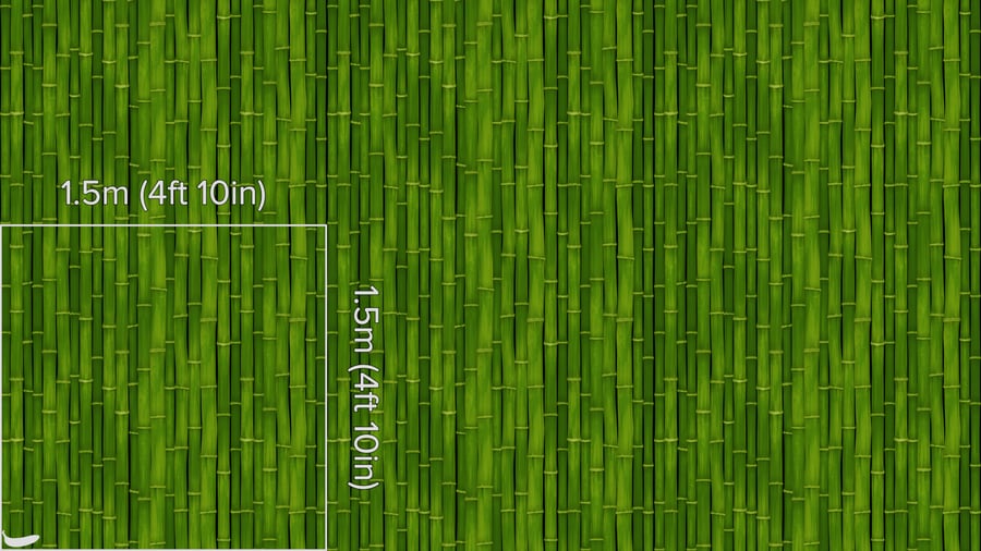 Bamboo Wall Texture, Fresh Green
