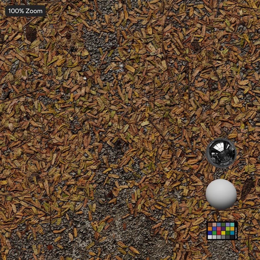 Autumn Leaves on Compact Gravel Texture