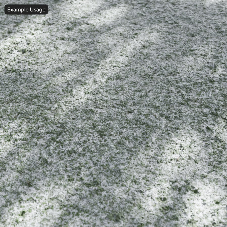 Snow on Grass Texture
