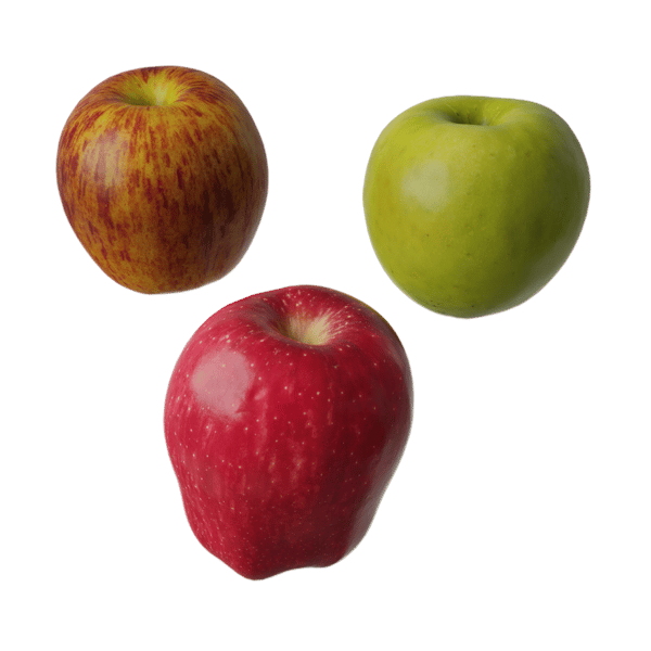Mele assortite Modello alimentare di frutta