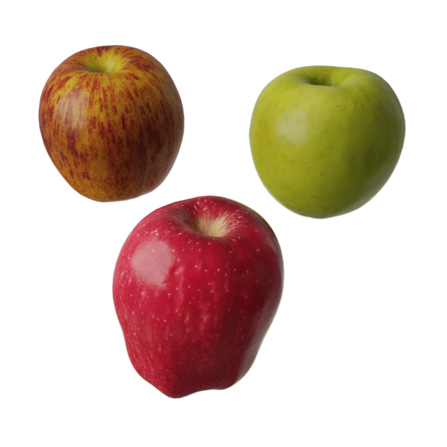 Assorted Apples Fruit Food Model