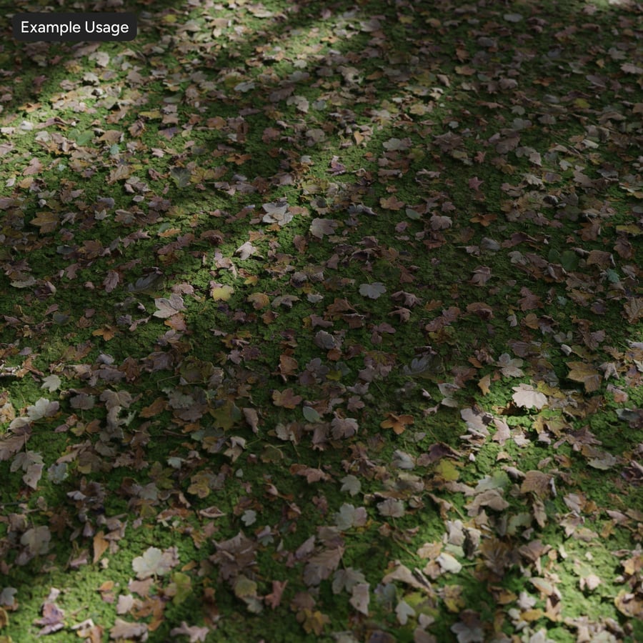 Leaves on Grass Texture