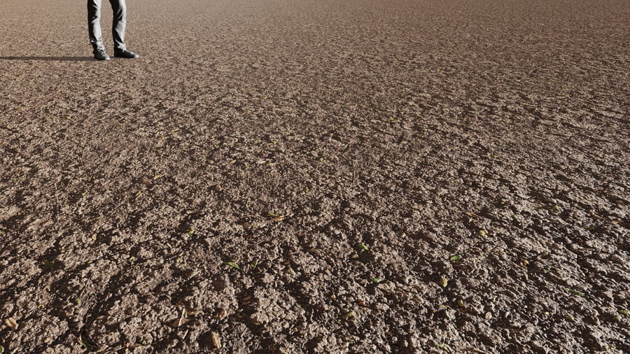 Patchy Cracked Mud Ground Texture