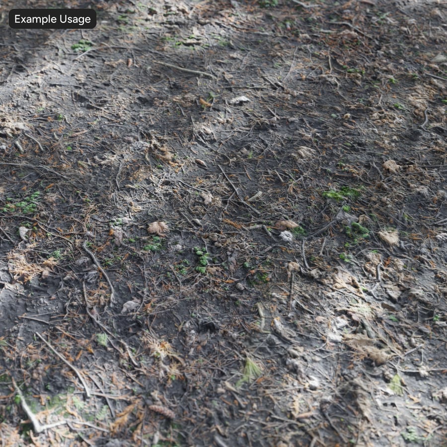 Torkad vegetation Skog Textur