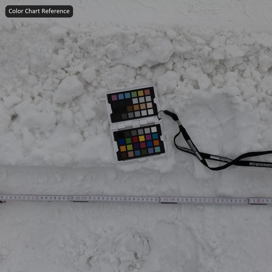 Tire Marks on Snow Texture