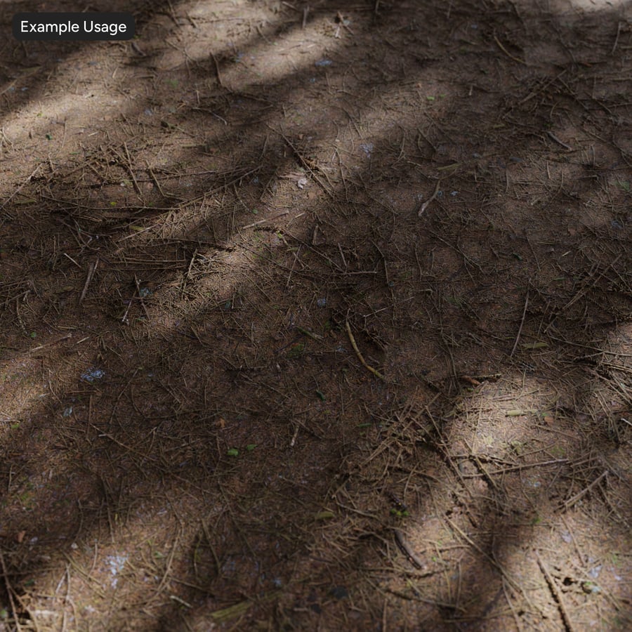 Conifer Leaves on Forest Ground Texture