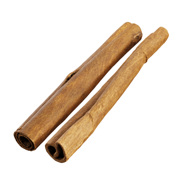 Cinnamon Sticks Model