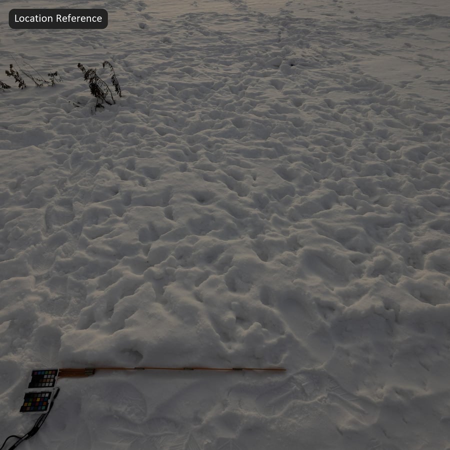 Footprints on Chunky Snow Texture