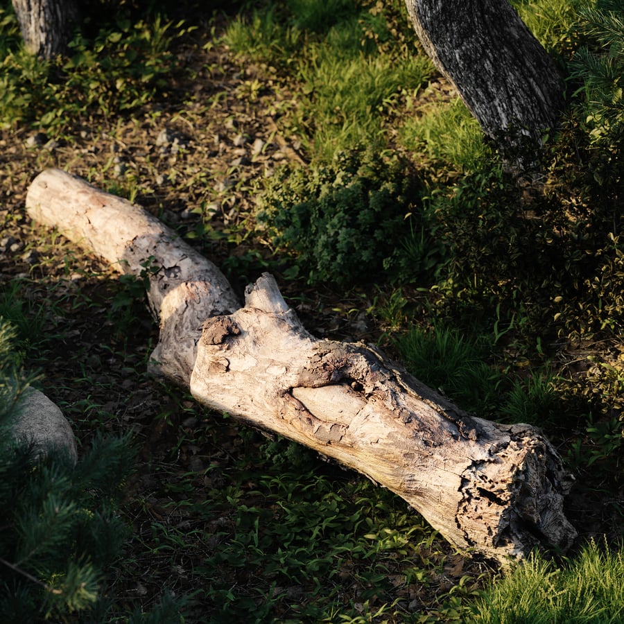 Gnarly Decaying Log Model