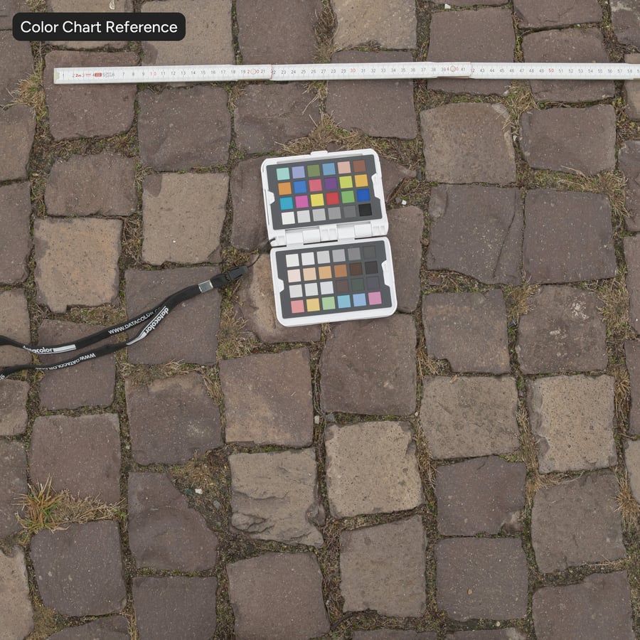 Mauvaises herbes sur une texture de pavés usés