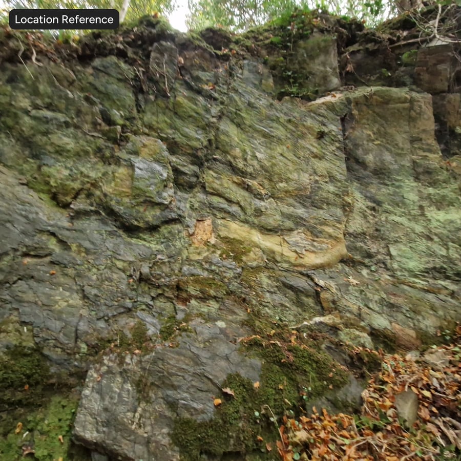 Texture de falaise rocheuse forestière